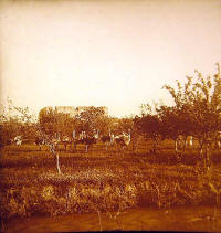 Parc aux autruches, Dar Aïn Beida, Meknès