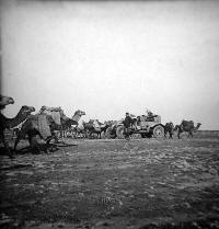 En Chaouia&nbsp;: auto et chameau